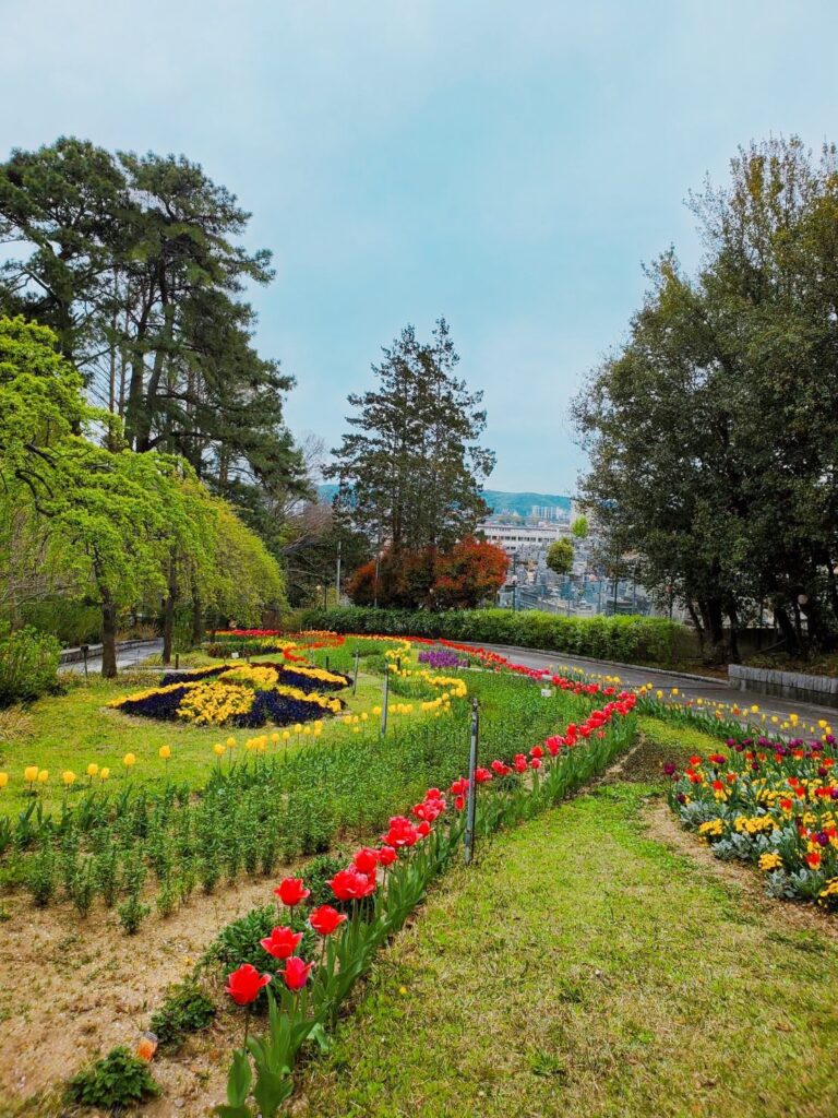 植物園_20250412_1